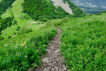 Fototapeta na wymiar Dirt path hiking trail climbs through green Caucasus mountains