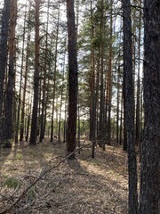 Obraz premium Kazakhstan