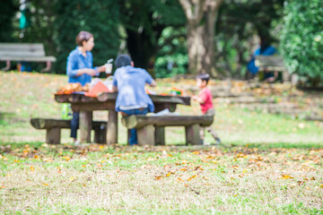 公園でピクニック