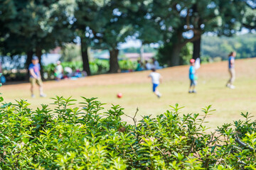 公園で遊んでいる風景