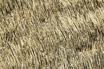 Dark metal background. Scratched iron surface. Metal rust texture. Grunge peeling paint background. Dirty industrial steel pattern. Corroded iron surface. Grainy metal texture. Worn vintage design.