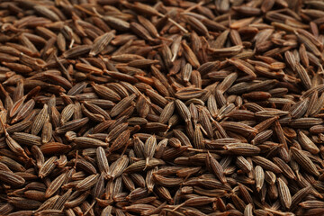 Aromatic caraway seeds as background, closeup view