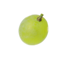 One ripe green grape isolated on white