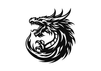 dragon boat, dragons, ferocious, fire, firm, flame, group, heraldic, identity, knight, myth, mythology, red, sport, strong, dragon logo, fire dragon, fir, beastdragon boat, dragons, ferocious, fire, f