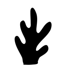 Obraz premium doodle seaweed colorful