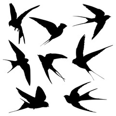 Collection of swallow bird silhouettes isolated on white background
