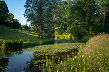 Slavyanka River Valley in the landscape part of the Pavlovsk Palace and Park Complex on a sunny summer day, Pavlovsk, Saint Petersburg, Russia