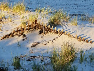 MINOLTA DIGITAL STILL CAMERA