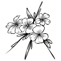 flower handdrawn illustration 