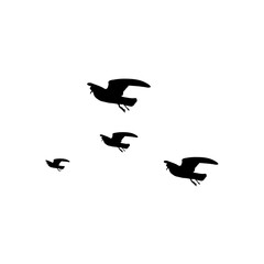 Flying bird silhouette