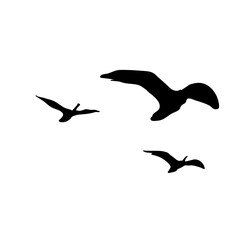 Flying bird silhouette