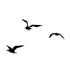 Flying bird silhouette