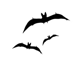 Flying bat silhouette