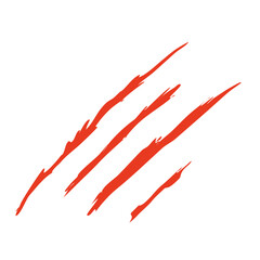 Claws scratches vector