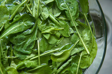 Top view closeup plant-based style Fresh salad picked wild rocket or arugula soaking transparent glass bowl at kitchen table in vinegar and baking soda water wash before eating concept - obrazy, fototapety, plakaty