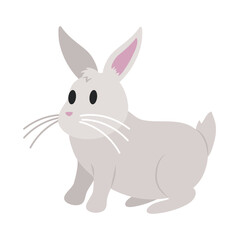 bunny cute illustration