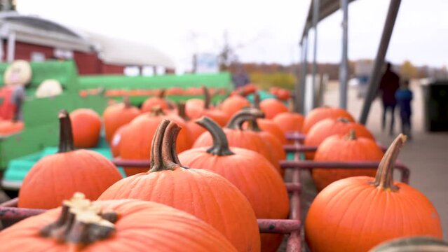 Closeups of pumpkins at a cider mill
