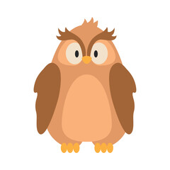 owl cute illustration