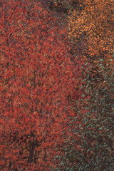 Beautiful abstract autumn background.