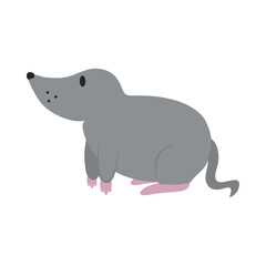 rat cute illustration