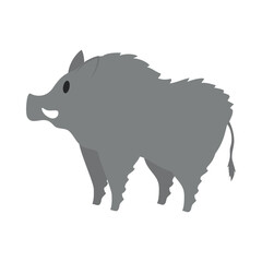 wild boar illustration