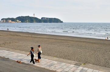 片瀬西浜海岸で犬の散歩する女性たち