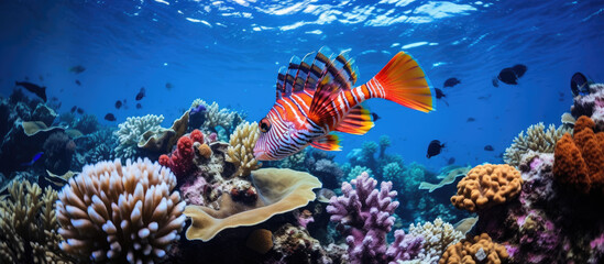 close view of a beautiful fish in the water with lots of coral - Powered by Adobe