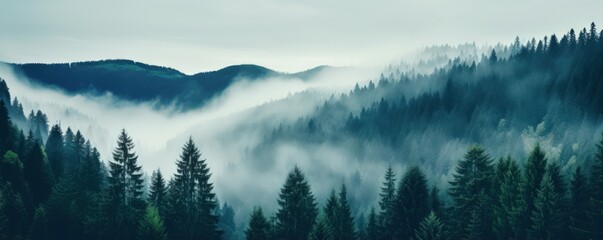 Fog conceals details of mountains with trees inviting greater sense of wonder with mystery. Foggy...