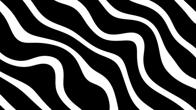 black and white  waves abstract motion background, animation video footage 4k