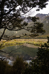Fototapeta na wymiar Mirror Lake, Fiordland, in New Zealand's South Island
