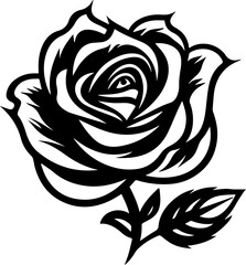 Wonderful Rose 