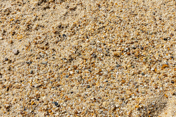 Yellow coarse sand background photography