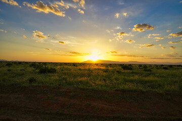 Naklejka na ściany i meble A golden sunset at Tsavo National Park, Kenya, Africa