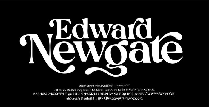 Elegant Font Uppercase Lowercase and Number. Classic Lettering Minimalist Typography fonts regular for fashion, sport, technology, digital decorative vintage concept. vector illustration