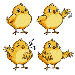 Premium Vector | Cartoon Chicks character set.