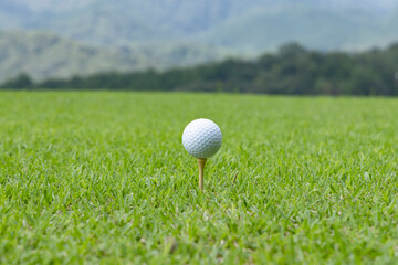 新緑が綺麗なゴルフ場