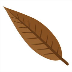Fall leaf illustration 