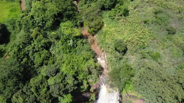 Cachoeira na mata