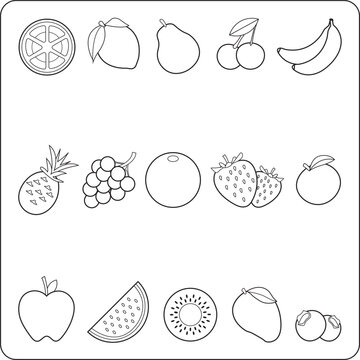 Fruits coloring page for children and adults. Hand drawing vector illustration in black outline on a white background.