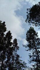clouds over the lake
