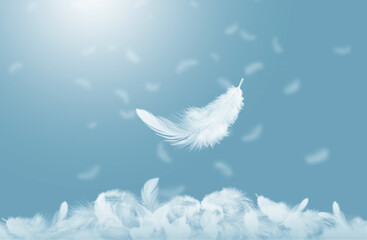 Abstract White Bird Feathers Falling in A Blue Sky. Softness of Floating Feathers. 