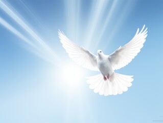 A white dove against a blue sky. A symbol of peace, hope, purity, innocence, reconciliation and love.