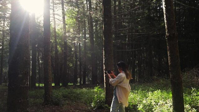 Capturing the light. Female composes for the camera shot. Forest scene