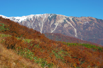 八方尾根の三段紅葉と小蓮華山の眺め