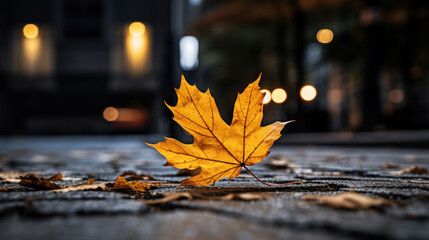 Naklejka na ściany i meble Close up of a autumn yellow leaf on the ground