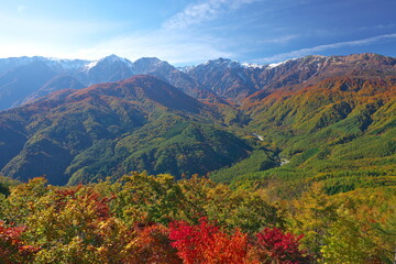 岩岳から望む白馬連峰の三段紅葉