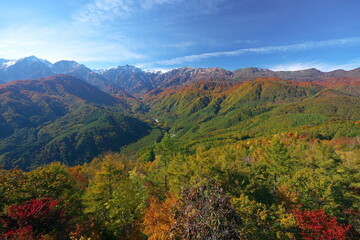 岩岳から望む白馬連峰の三段紅葉