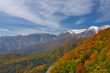 白馬連峰と鹿島槍ヶ岳を望む栂池高原の三段紅葉
