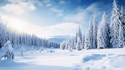 Fotobehang 冬の風景、雪が積もる自然の景色 © tota