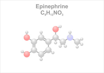 Simplified scheme of the epinephrine molecule. Use as vasoconstrictor in dentistry.